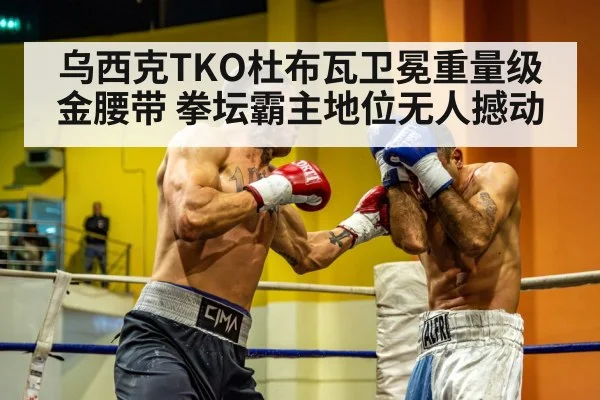 heavyweight boxing